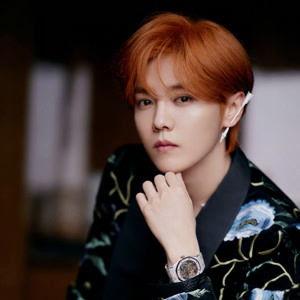 鹿晗个人资料大全,全能艺人，青春偶像的璀璨星途