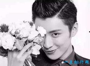 娱乐男明星排行榜,盘点最新娱乐男明星排行榜