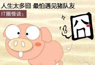 猪队友娱乐而已,轻松搞笑，欢乐无限